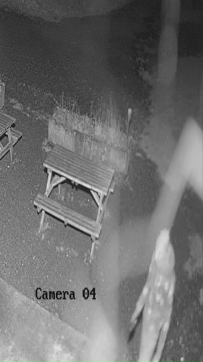 On Tuesday night at about 11.30pm, we had a break in @ledenegolf , the intruder broke into the ball machine on the driving range and entered the cafe through a rear kitchen window. If anyone can recognise the person in the images, please contact <a href="/StaffsPolice/">Staffordshire Police</a>