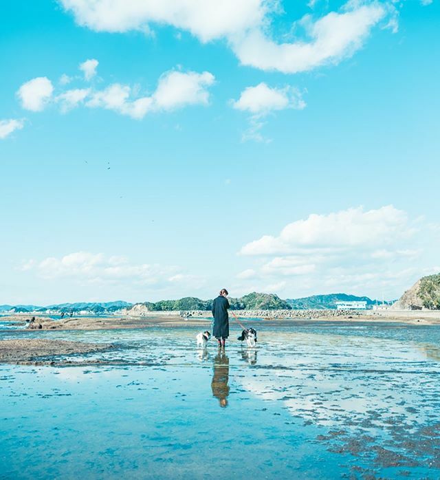 Soraky118's tweet photo. "Huge puddle"
大きな水たまり発見🐶🐶
#この後の足拭きが大変💦 https://t.co/LW6SKpc38X https://t.co/OkMRGxYzp7