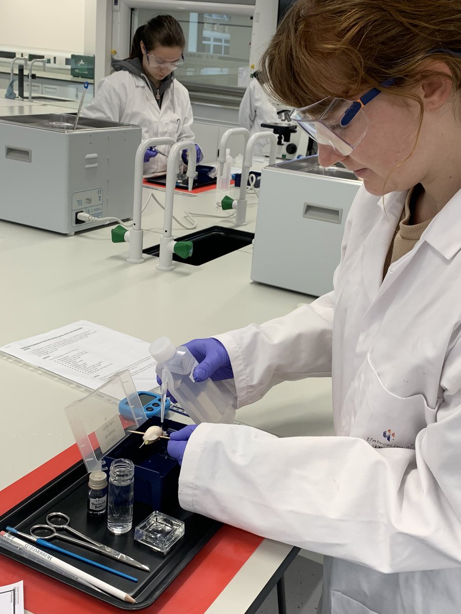 XPEastSchool's tweet photo. Our year 12 Biologists completing an A-Level required practical at @HuddersfieldUni https://t.co/udfePzF5KP