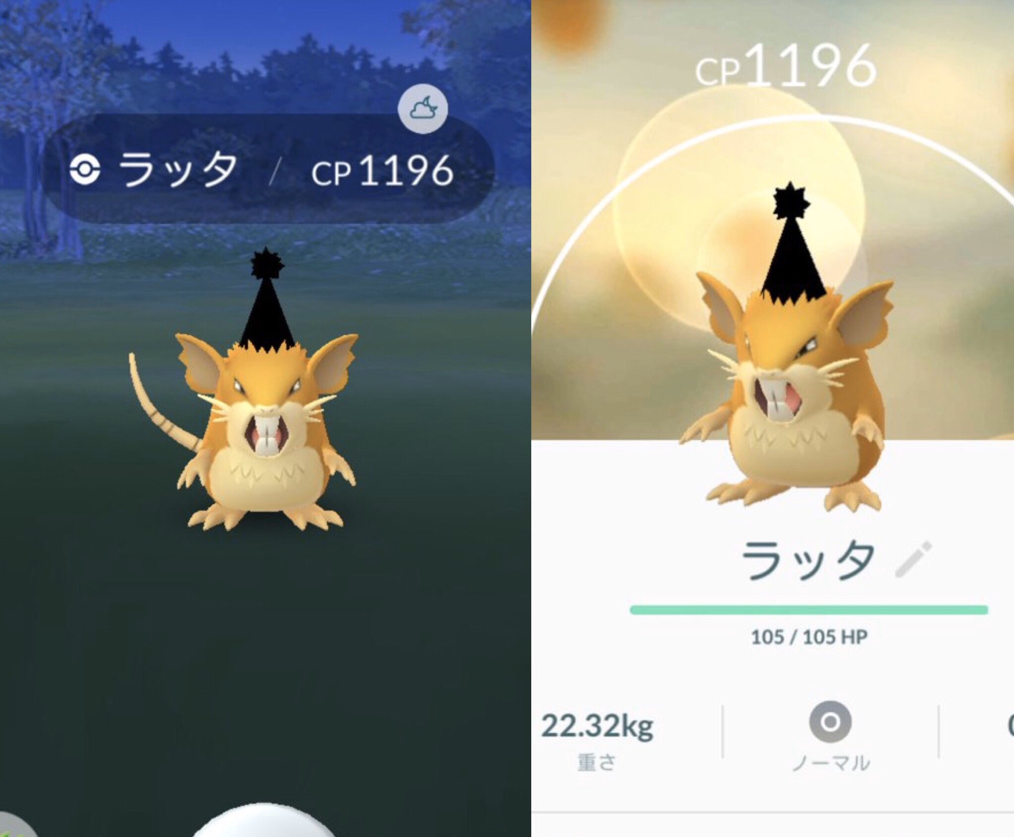 色違いラッタ Twitter Search Twitter