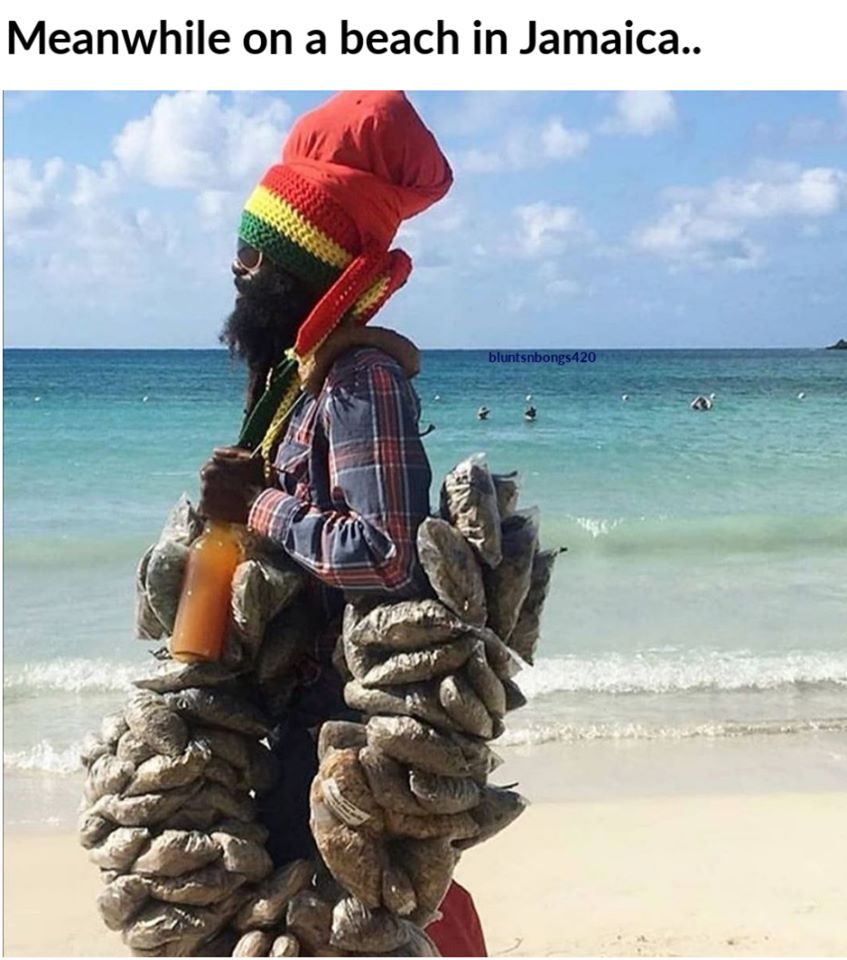 SeedCentre's tweet photo. Meanwhile in Jamaica 😂
https://t.co/9bYPV3KG2z
#londonseedcentre #cannabis #weed #ganja #rasta #stoners #highliffe #weedstagram #weedporn #weedmemes #cannabismemes #wakebake #smokeweedeveryday https://t.co/AqBfnoPtmB