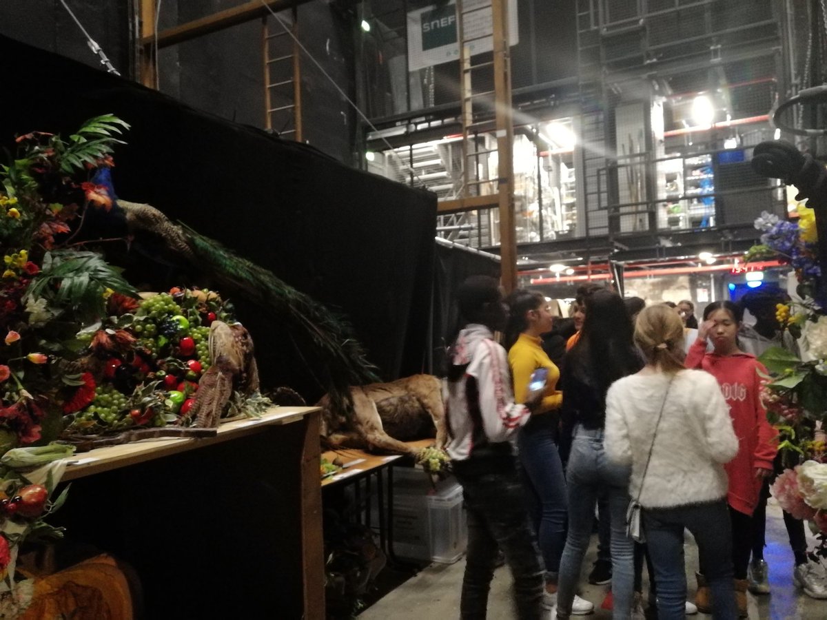 Milène Brovelli tweet media