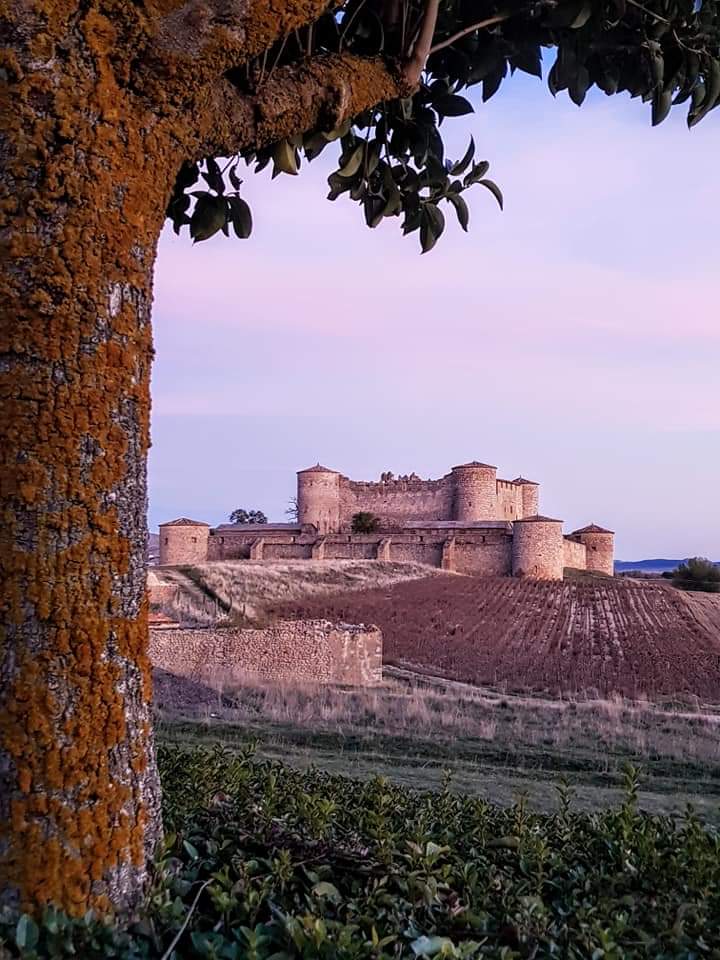 CyLEsVida's tweet photo. Castillo de Almenar de #Soria
📷 @Rociowaly @sorianitelaimag 
 https://t.co/10nsroHeDN
