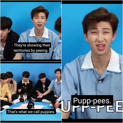 The iconic dad jokes that started off as always with maknae line laughing, Namjoon secretly laughing and Yoongi straight up ignoring Jin’s dad jokes. As always, Namjoon couldn't resist Jin for too long and broke easily.