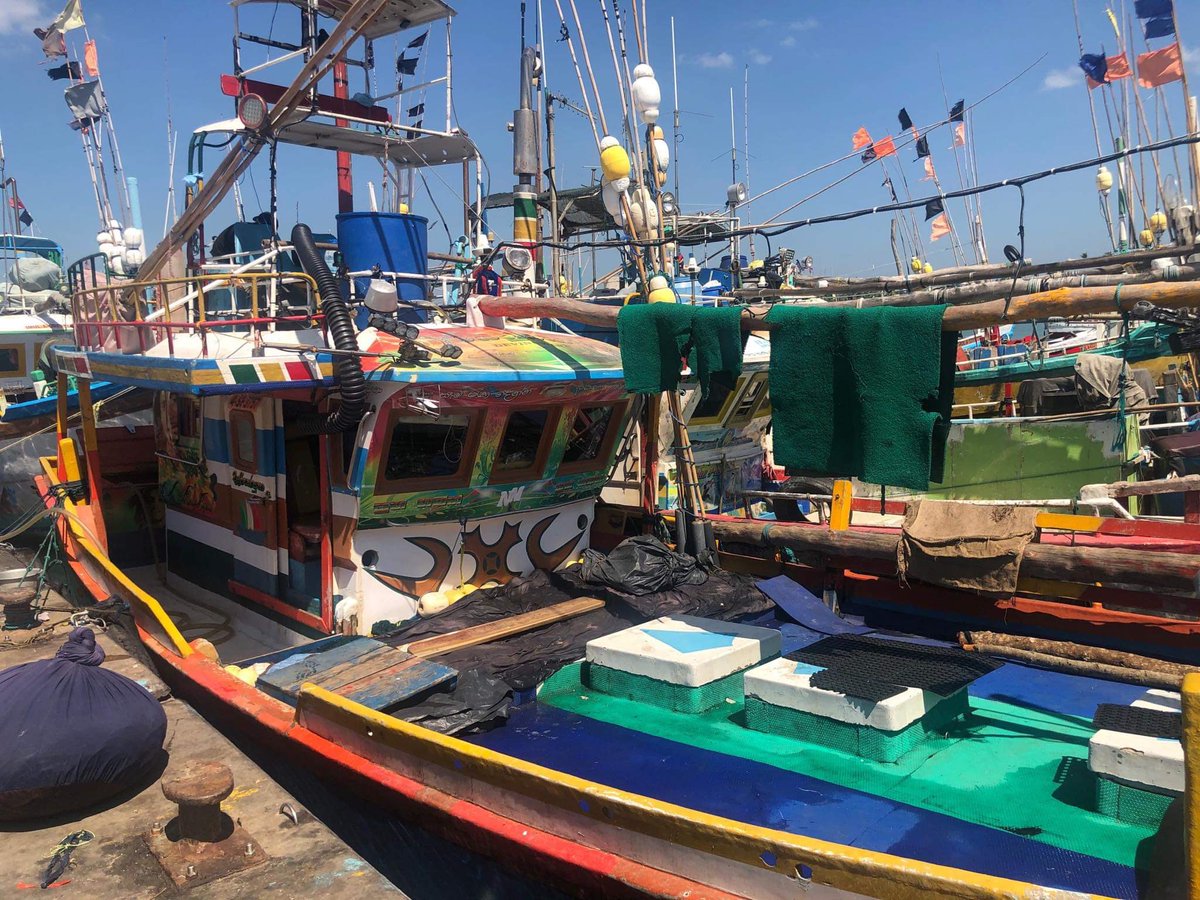TollBarChippie's tweet photo. Toll Bar exploring global choice options #FishSriLanka #GlobalFish  #Options https://t.co/SPbhH0uHeE