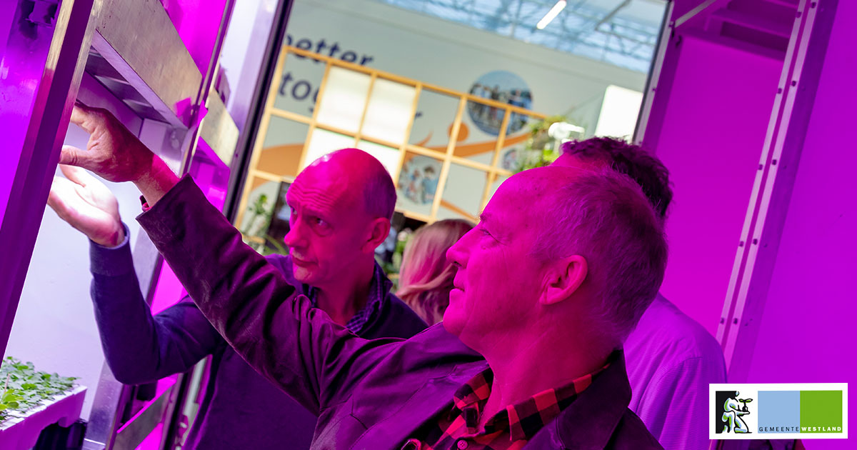 Vier plannen toegewezen voor tweede ronde subsidieregeling Kennis en Innovatie Westland. Vertical farming @worldhorticentr, Groencollect, datagedreven gewasmanagement en de ontwikkeling van onderwijsprojecten met het bedrijfsleven met ISWonderneemt. bit.ly/38fdAHt