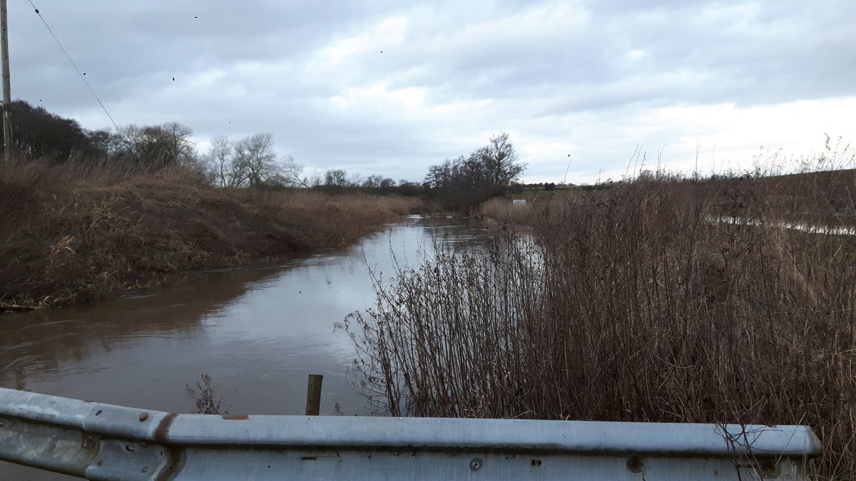 LavandaMia tweet media