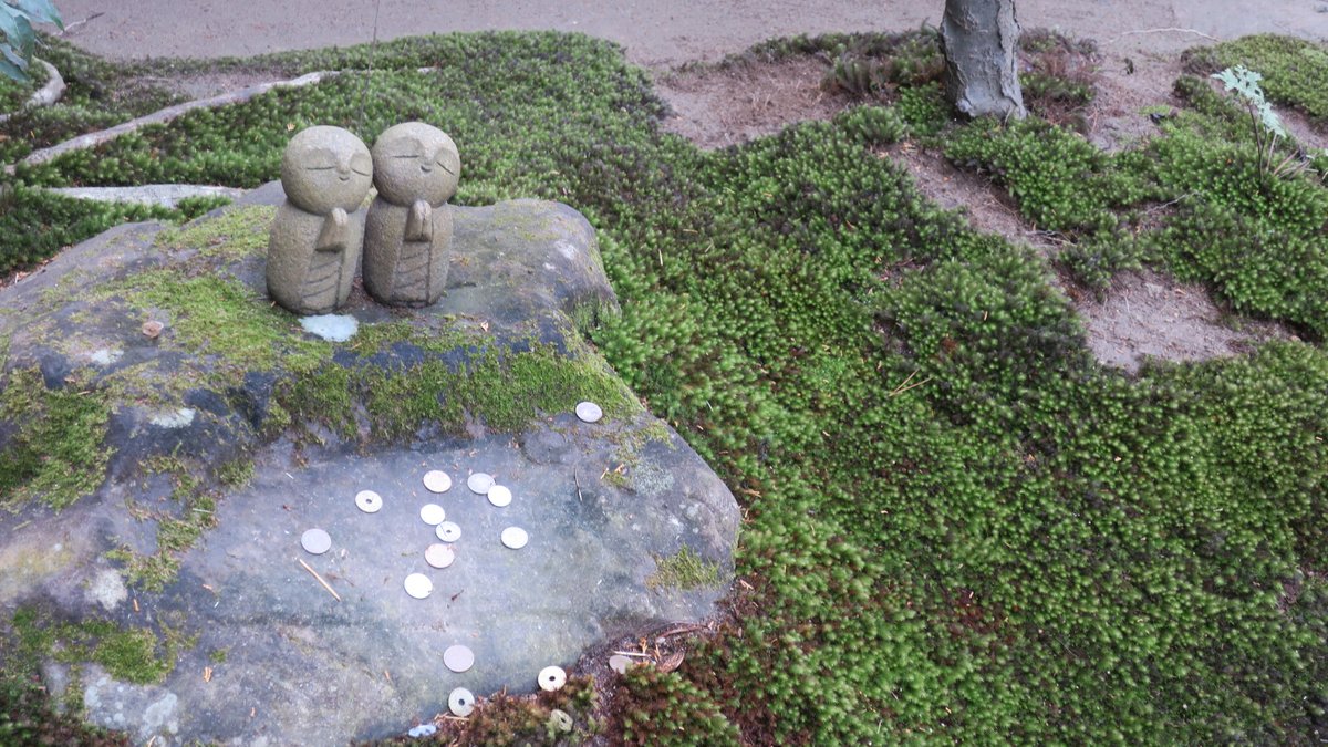 Sharing Kyoto Very Cute Mini Jizos 地蔵 We Visited Shisendo Temple Today Although It Was Freezing Impressively Many Colourful Flowers Were Blooming Sharingkyoto Shisendo Temple Ichijoji Kyototemple Kyotoflowers Kyotogarden