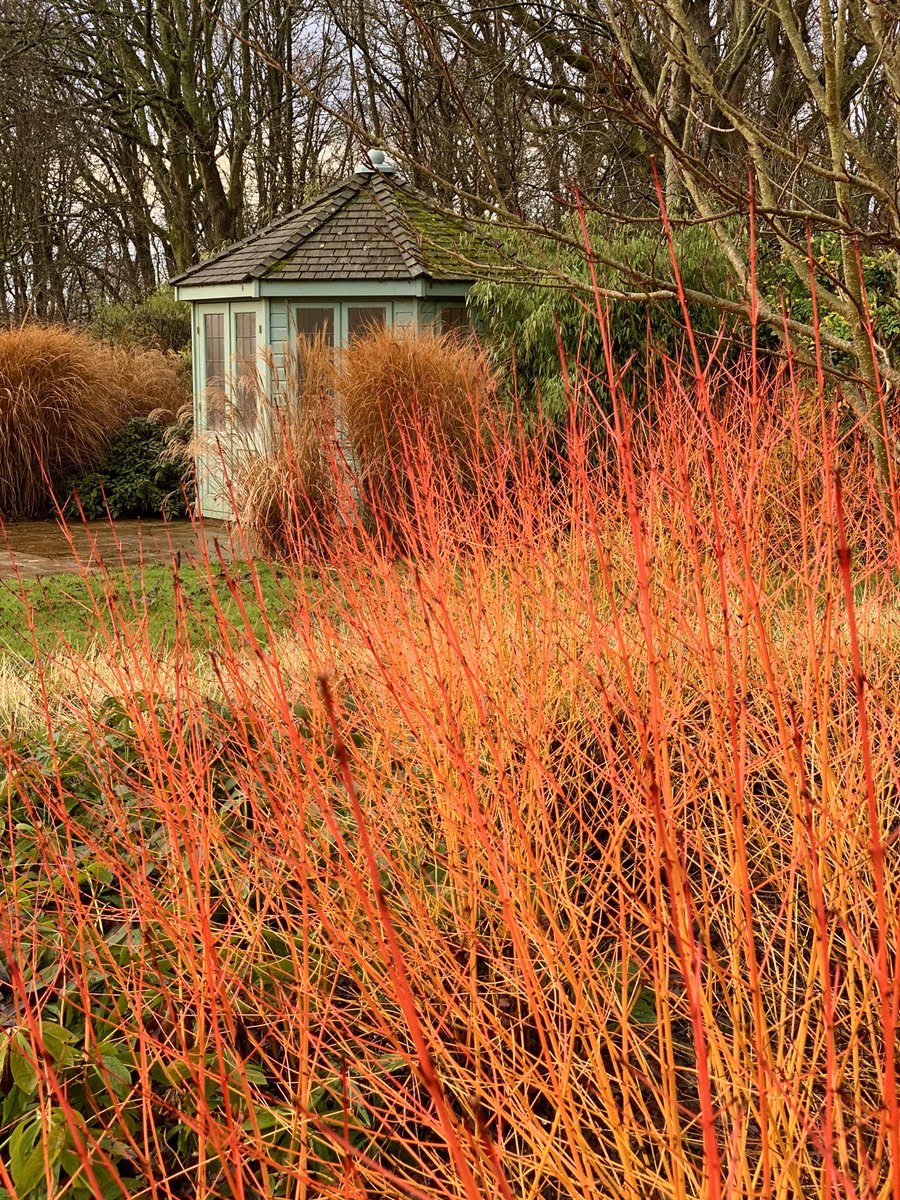 Warmest decade on record 🔥Its official 🔥 according to #NASA #NOAA and UK <a href="/metoffice/">Met Office</a> 🔥 Man-made #climatechange is confirmed 🔥 No more excuses, our house is on fire 🔥 #warmestdecade #ourhouseisonfire #acreswild #gardendesign #sussex #cornusmidwinterfire