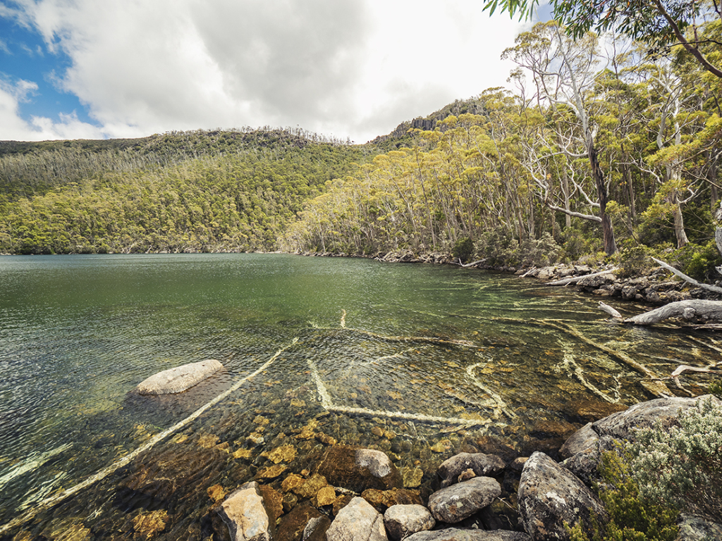 czechoutofhere's tweet photo. Mount Field: Lake Nicholls walk https://t.co/gd4xujHLVi https://t.co/fKNGaVDSjF