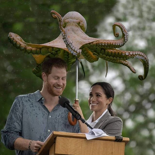 Studio Reko tweet media