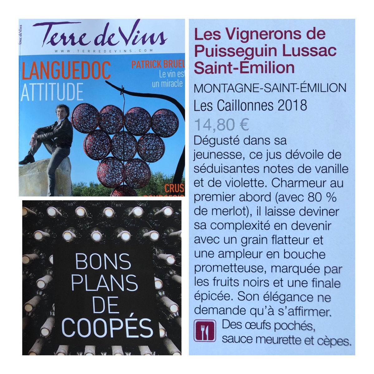 VPLSE's tweet photo. Les Caillonnes 2018 - Montagne Saint-Emilion dans le dossier spécial coopératives de @TerredeVins ! «... Il laisse deviner sa complexité en devenir avec un grain flatteur et une ampleur en bouche prometteuse... » https://t.co/zK9m0WPjWA