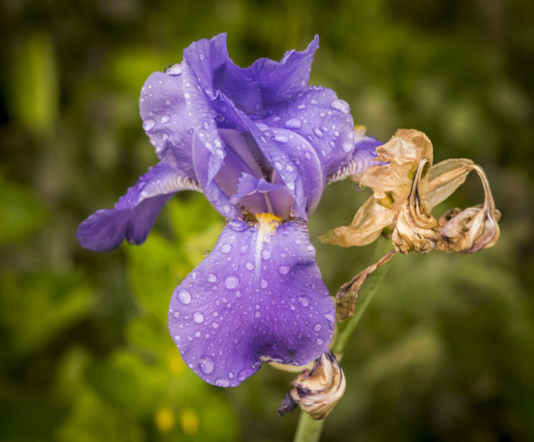 TheCottagesIre's tweet image. Don't forget our photo competition is open for 2020 cottages-ireland.com/photo-competit… Even these wonderful stormy skies cant keep you away from The Cottages. #springbreaks, #IrishCottages, #photographer.