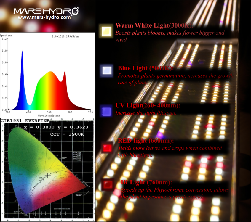 MarsHydroLight's tweet photo. All the Spectrum you will need during your whole growing cycle in just one SP 250
https://t.co/QY3lscrZHz coupon code:MHTwitter😊
#MarsHydro #SP250led #growtent #growroomsetup #growlight #whitelight #fullspecrum #greenhouse #growhobby #growtip #GrowHelping #quantumboard https://t.co/lpbgflJxI8