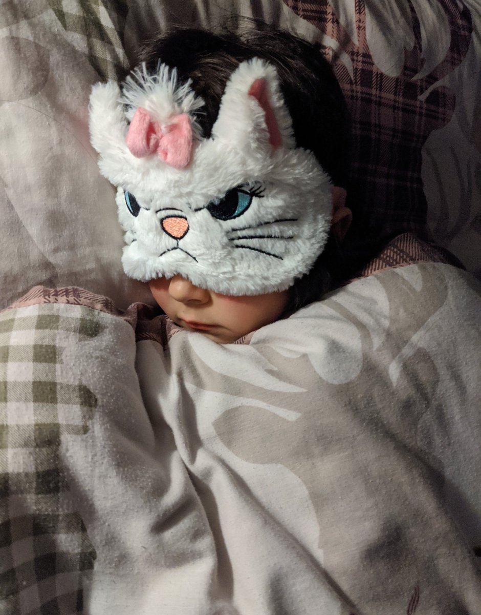 asianpinguu's tweet image. This was a perfect sight last night. Look at that little nose and soft cheeks 😍❤️ #sleepingbeauty #roundface #disneymarie