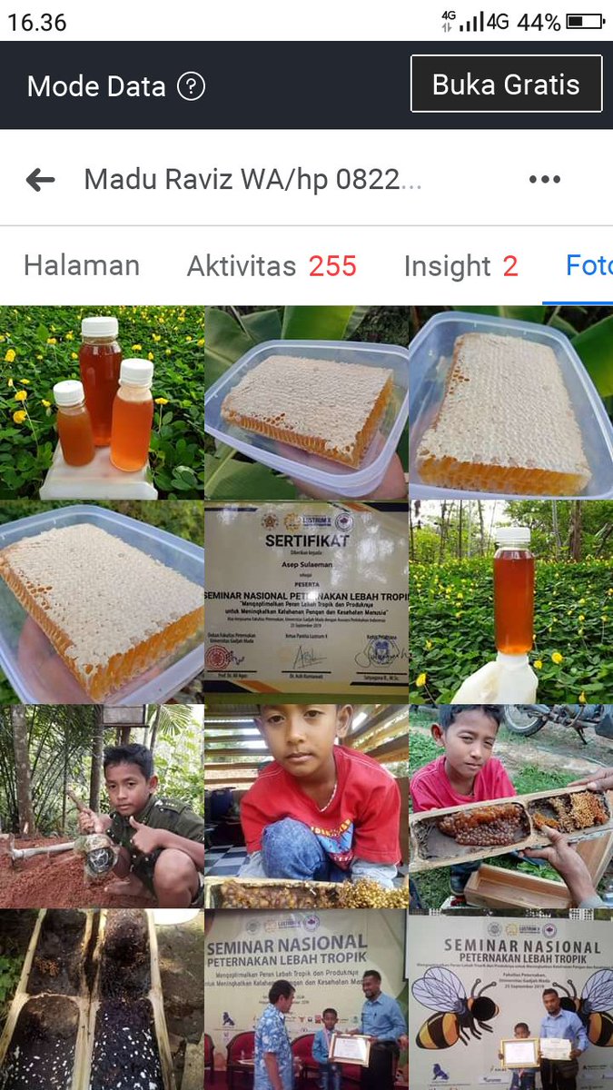 Honey wa 082217099068