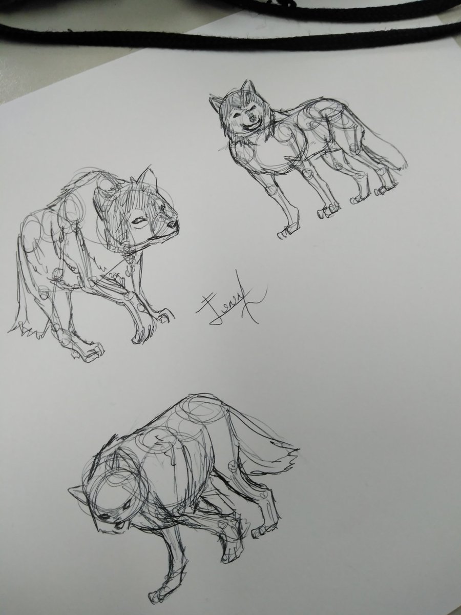 JunnL07's tweet photo. Bueno, ya le vamos pillando el truco a los cánidos.
#wolf #sketch #practice #animal #pen #JunnDraws https://t.co/ZxDW7lSoXR