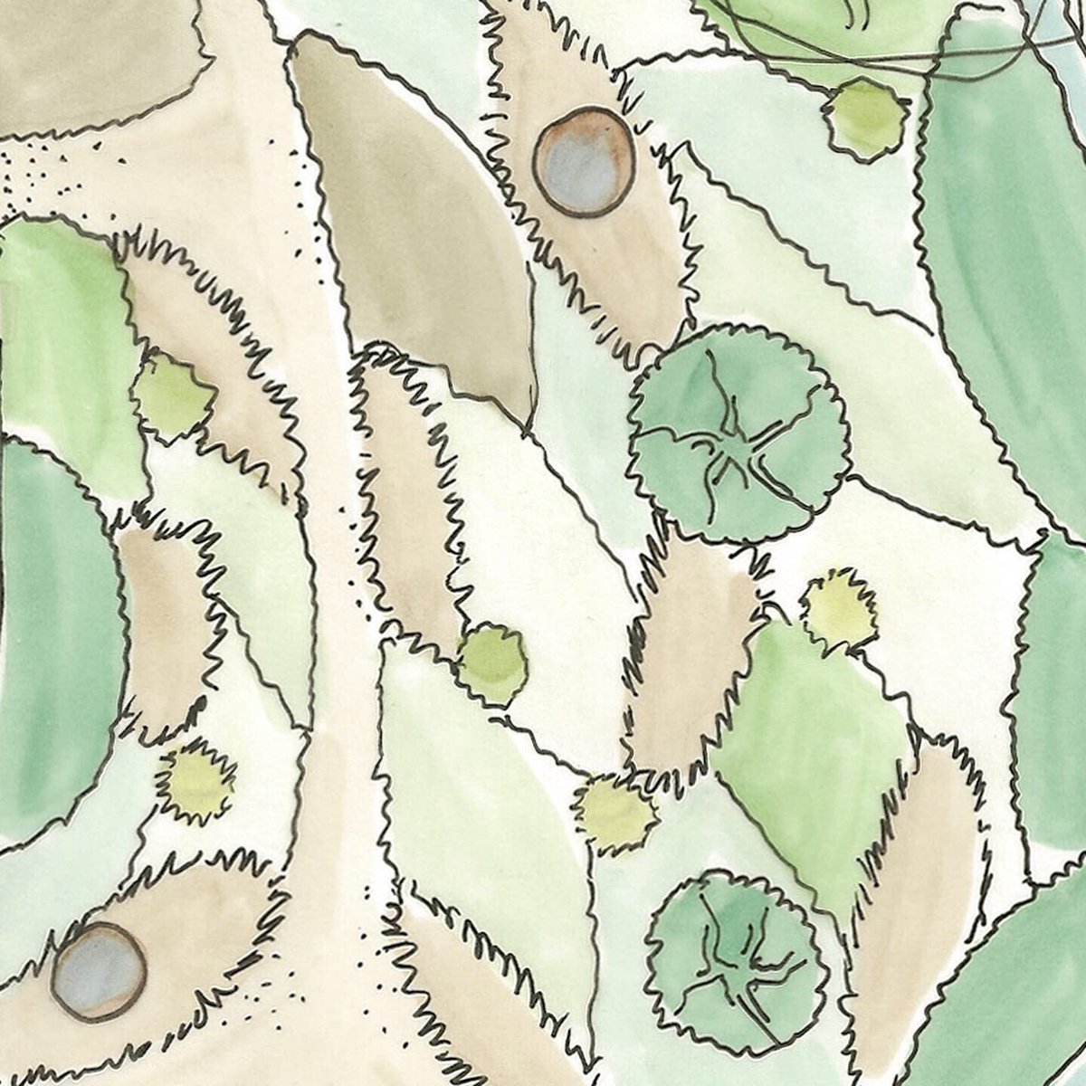 mathieulebre's tweet photo. From the concept to the planting plan
Del concepto al plano de plantación
.
#landscapeplan #plantingplan #plantingdesign #plantingscheme #planodeplantacion #landscapearchitecture #paisajismo #paisajista #paysagiste #landscaping #landscapedesign #gardendesign #lemapaisajes https://t.co/gAgdKnLQ5T