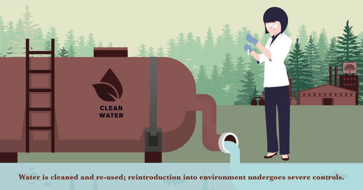 Modern tanning processes are carried out with respect for the environment. The residual water is subjected to decontaminating treatments: its return to the environment is subject to strict by local authorities: the balance of the ecosystem is protected and no water is wasted.