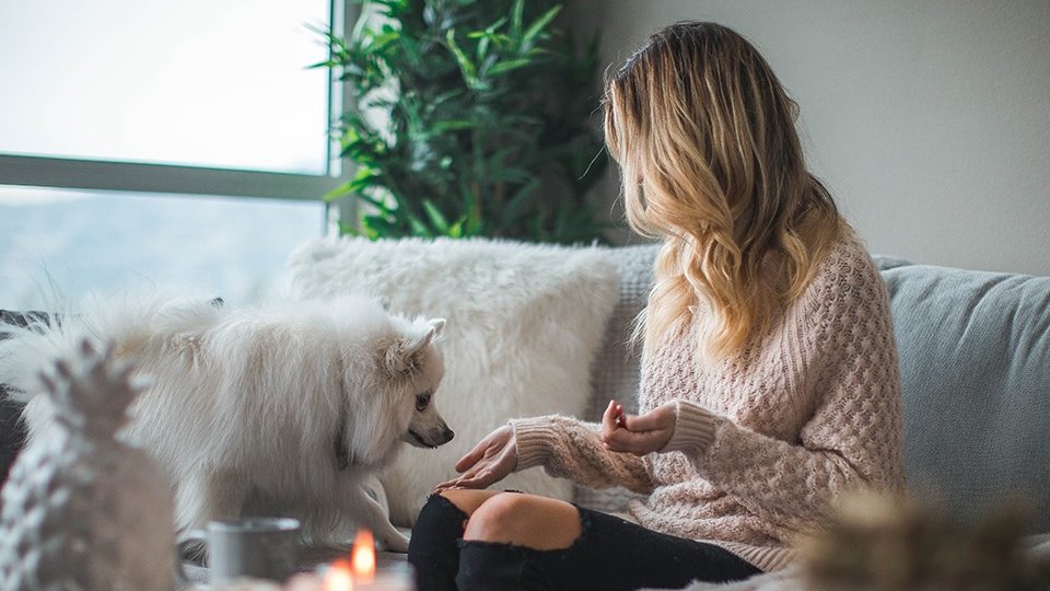 McIndooroopilly's tweet photo. Looking for a little extra cash? Simply get in touch and we’ll run a free home loan health check to find ways you can save on your home loan and get more cash back into your pocket https://t.co/GjFmqtmcOF. https://t.co/rKBnSa8dLi
