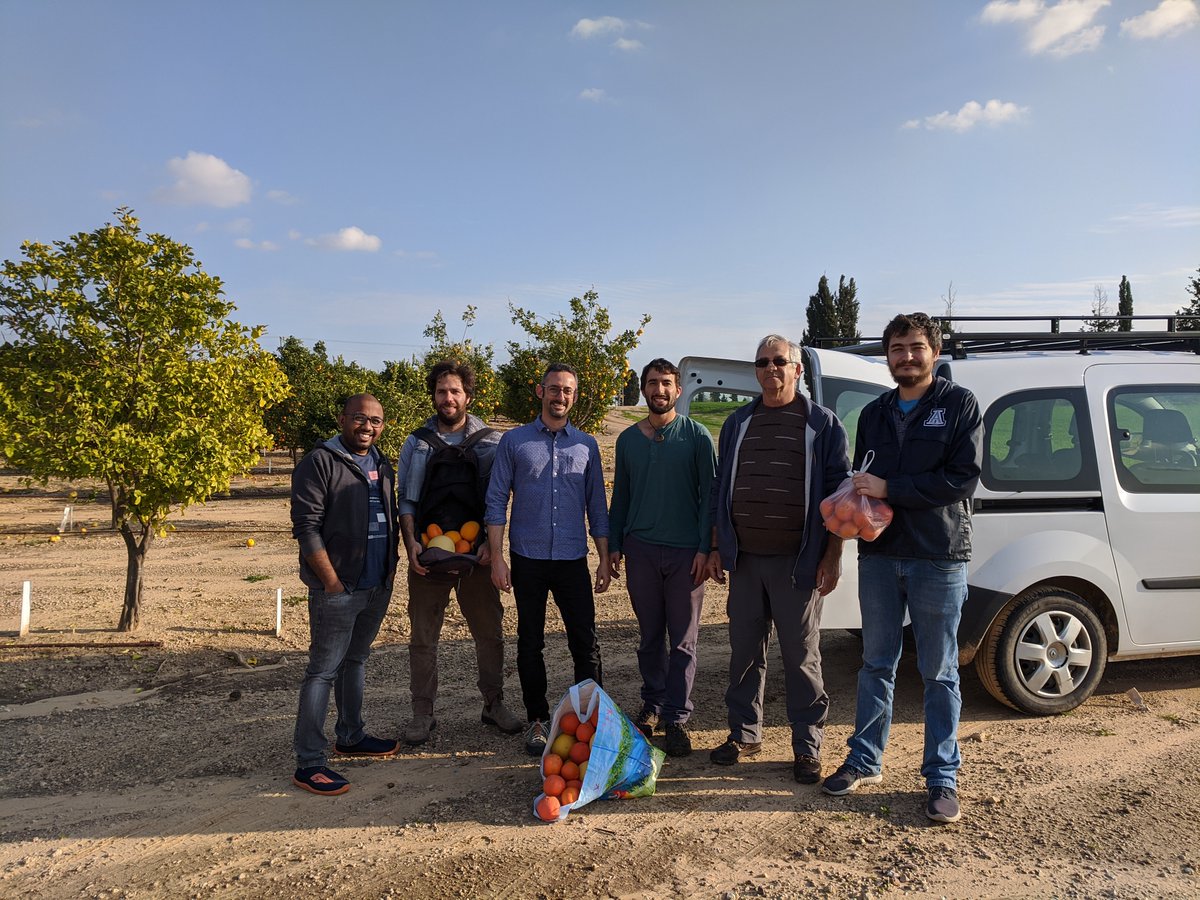 ORozenstein's tweet photo. #labactivity Picking citrus at the campus orchard. It's fun to do research @soil_volcani
#lablife #researchlife #fun https://t.co/oHtpZugEbU