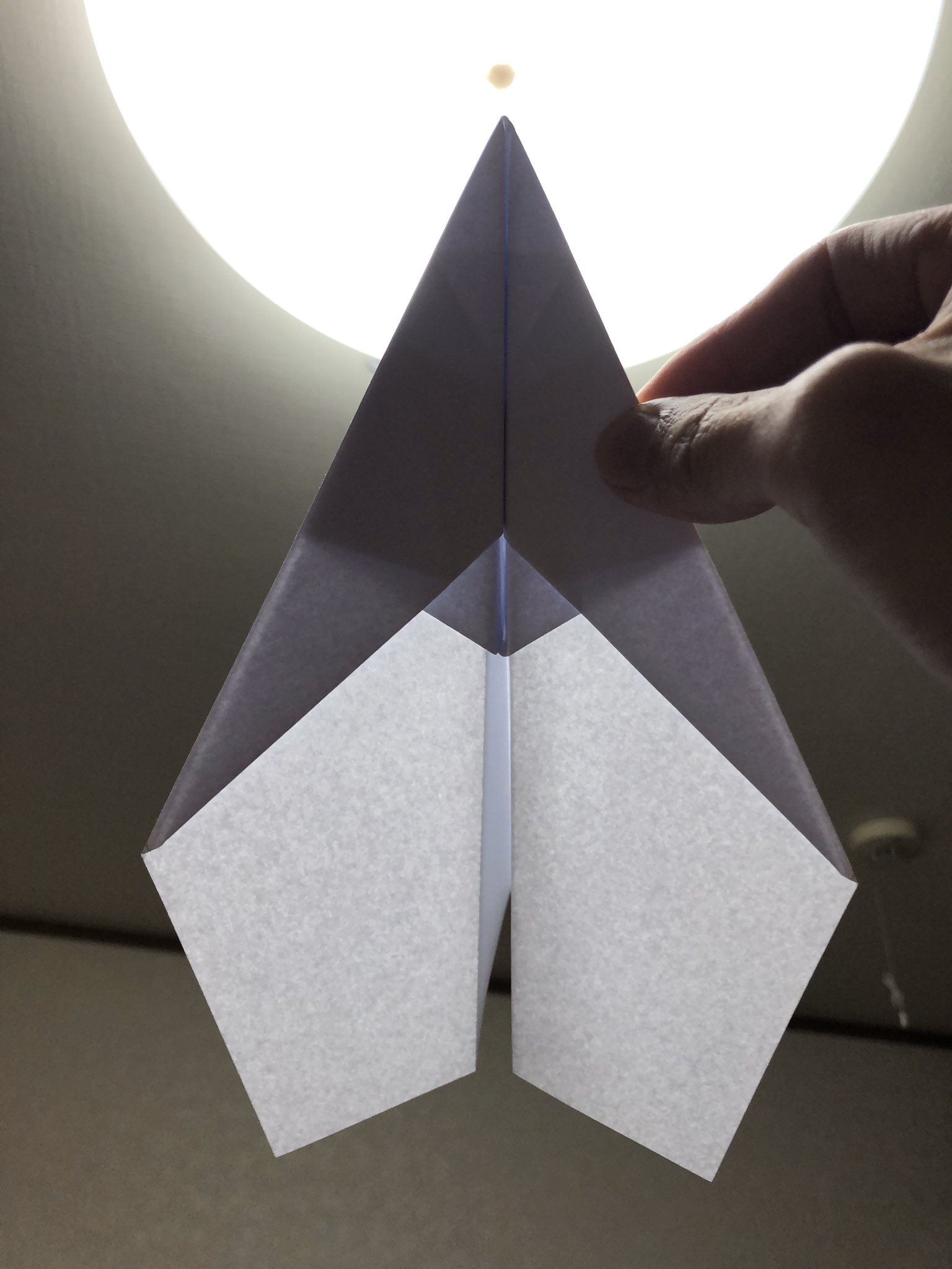都留文科大学 紙飛行機を飛ばす会 Tsuru Plane Twitter
