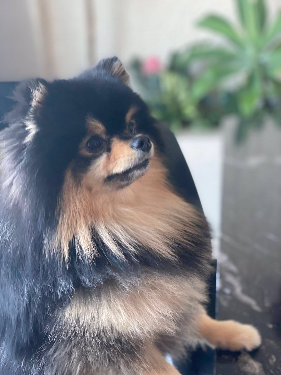 choi_bts2's tweet photo. V on Weverse 

Morning Tan 😆

@BTS_twt https://t.co/NHAWPlbFiu
