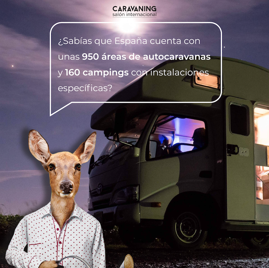 Salón Caravaning tweet media