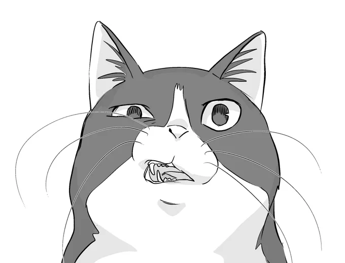 ロフトにいる紺ちゃんに無言で手を振ったらこういう顔されて笑ってしまった 