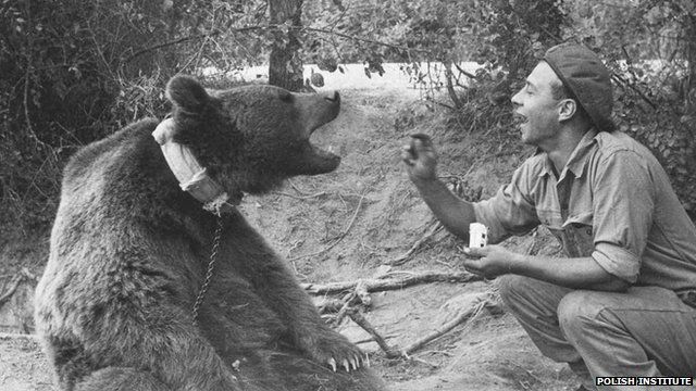 16. Pernah denger beruang jadi tentara? Di masa Perang Dunia II, Angkatan Darat Polandia pernah merekrut seekor beruang Syria jadi bagian dari peleton mereka. Mereka menamai beruang ini Wojtek (baca: Voytek).Sumber gambar: Polish Institute