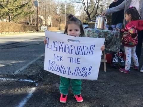 Vets_Compassion's tweet photo. This is Juliette. All the way from New York, this 4yr old has been raising money to allow for
#VetsforCompassion to help the koalas, with a lemonade stand already raising $87, along with some drawings for our vets.
If, like Juliette, you can give here: https://t.co/j9NoPR0j8n https://t.co/uupLLAFVuv