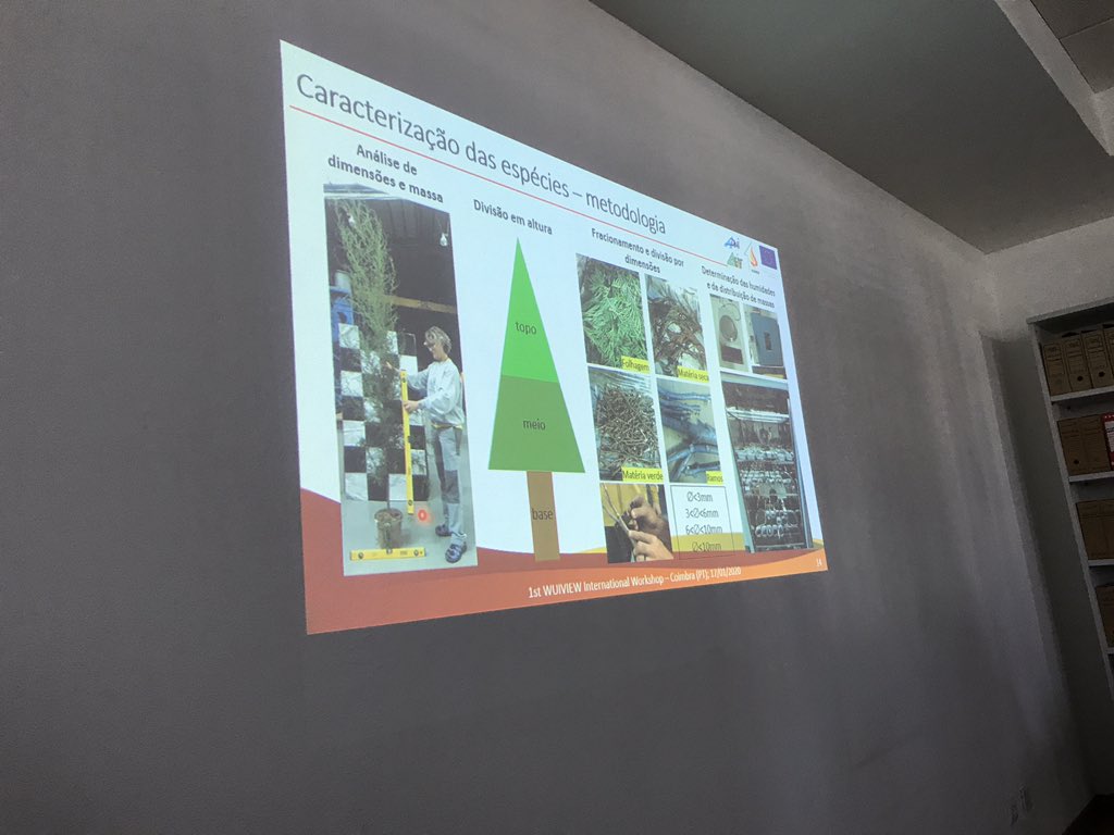 david_gnomusy's tweet photo. Miguel Almeida from @ADAI_CEIF presents laboratory experients and results on green hedges. What we observed in real fires is confirmed by numbers: Cupressus arizonica is extremely dangerous! #WUI #SafeMicroScale @wuiview https://t.co/5G4PL1BrFj