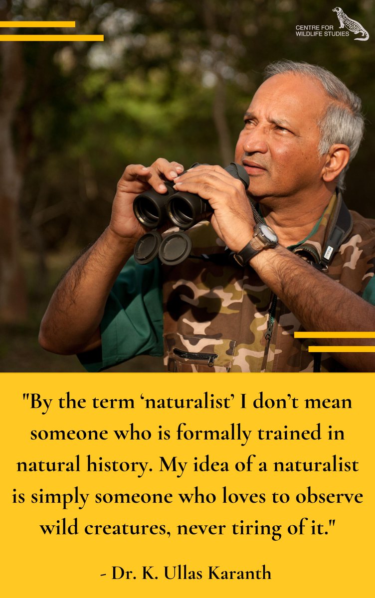 cwsindia's tweet photo. We are back with our 'Legacy Post' today! Here's what Dr. Karanth has to say about being a naturalist. Pick up a copy of 'A View from the Machan' for more inspiring thoughts about the natural world, wildlife and being a wildlife lover.

#LegacyPost #CWSIndia #CWSLegacyPost https://t.co/vhpkTX8pk1