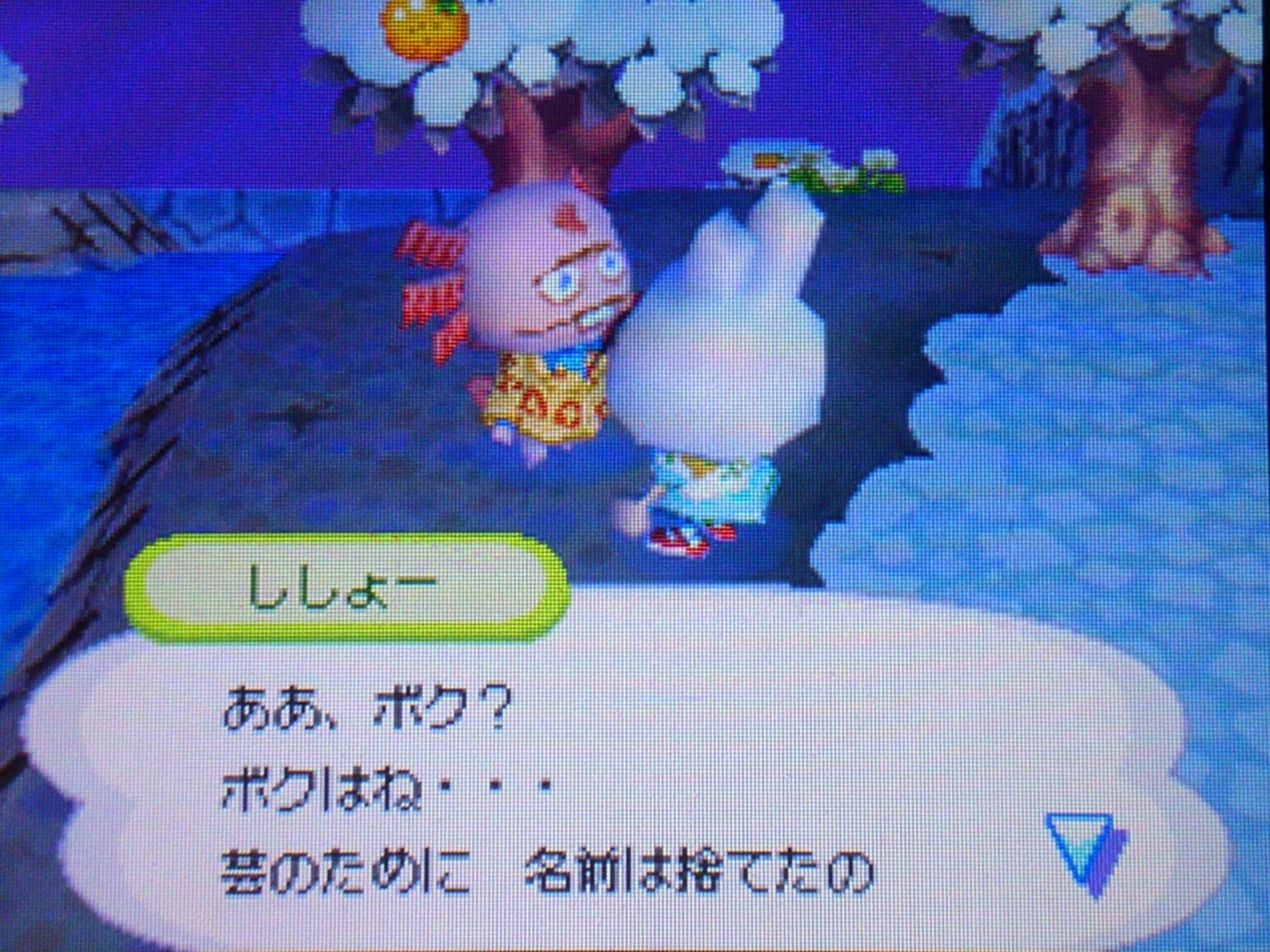 おいでよどうぶつの森　女の子　村人 hqdefault.jpg