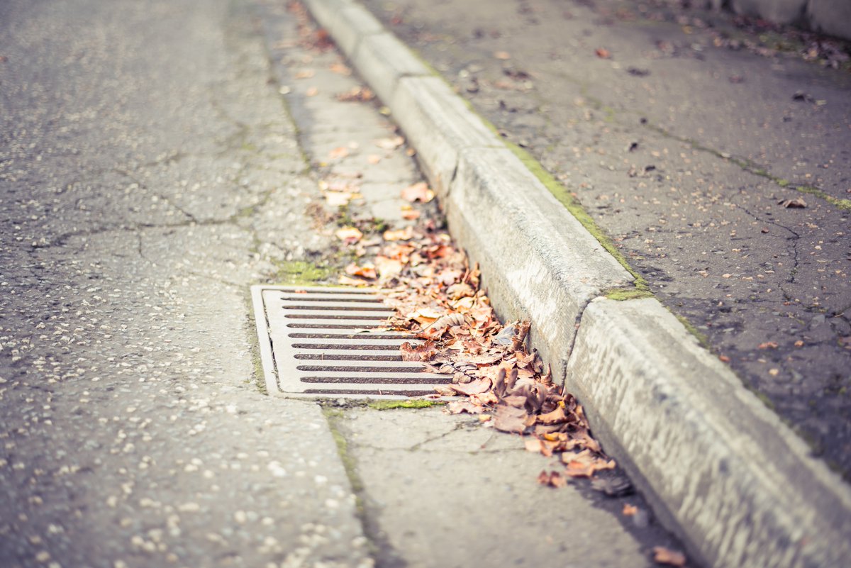 AnglianWater's tweet photo. Remember, drains lead to the sea. Roadside surface water drains usually take water directly to rivers and the coast - please do not pour chemicals, fuel, oil, portable toilets or anything else that could harm wildlife and the environment 🌊🐟🦀🐚 #OnlyRainDowntheDrain https://t.co/fBOSj5xbIE