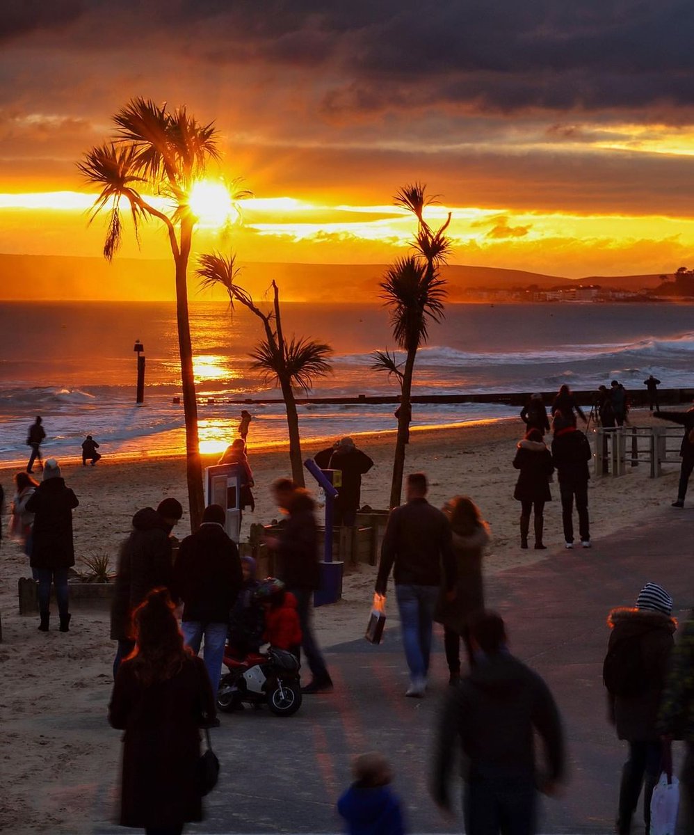Love Bournemouth tweet media