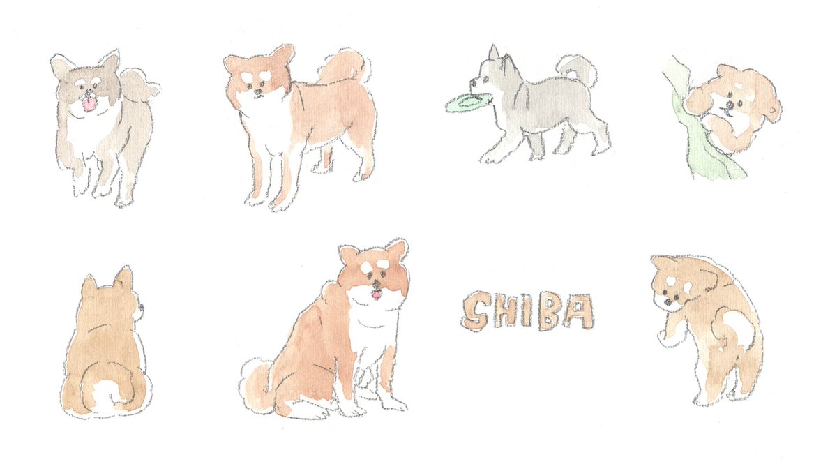 「SHIBA 」|じゅんのイラスト