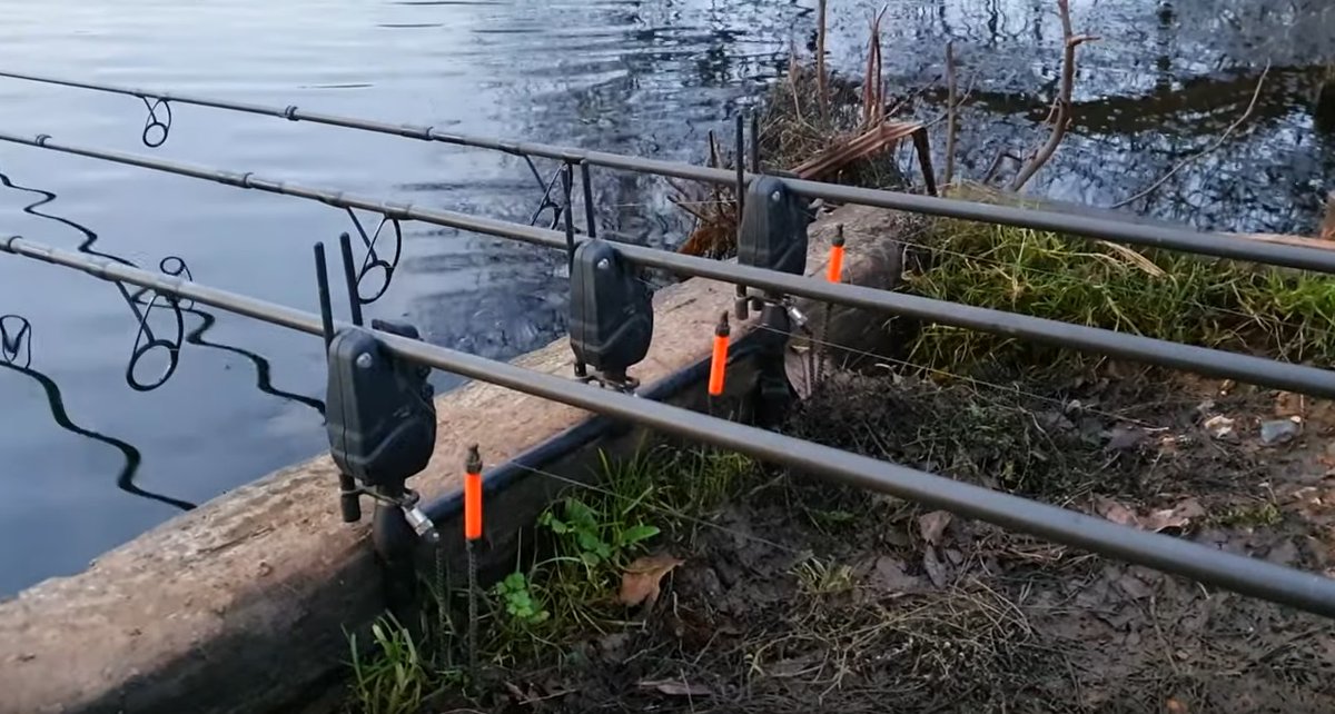 TF_Gear's tweet photo. New Dave Lane carp blog!! A return to pastures old...

👉 https://t.co/6lbjOvdpkA 👀

#CarpFishing #Vlog https://t.co/90MFDnAVdL