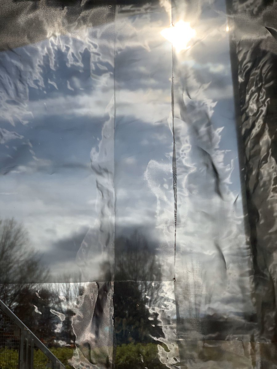 Mirabelle 会社を休んで武蔵美卒展へ 混雑の中でインスタレーションを見るのが嫌だという理由で空デ優先 まずは10号館 空デ 添田萌未さん 古橋楓さん 10号館入り口と吹き抜けにあった作品は作者分からず 4枚目 デ情 谷内愛望さん 名前間違いご容赦