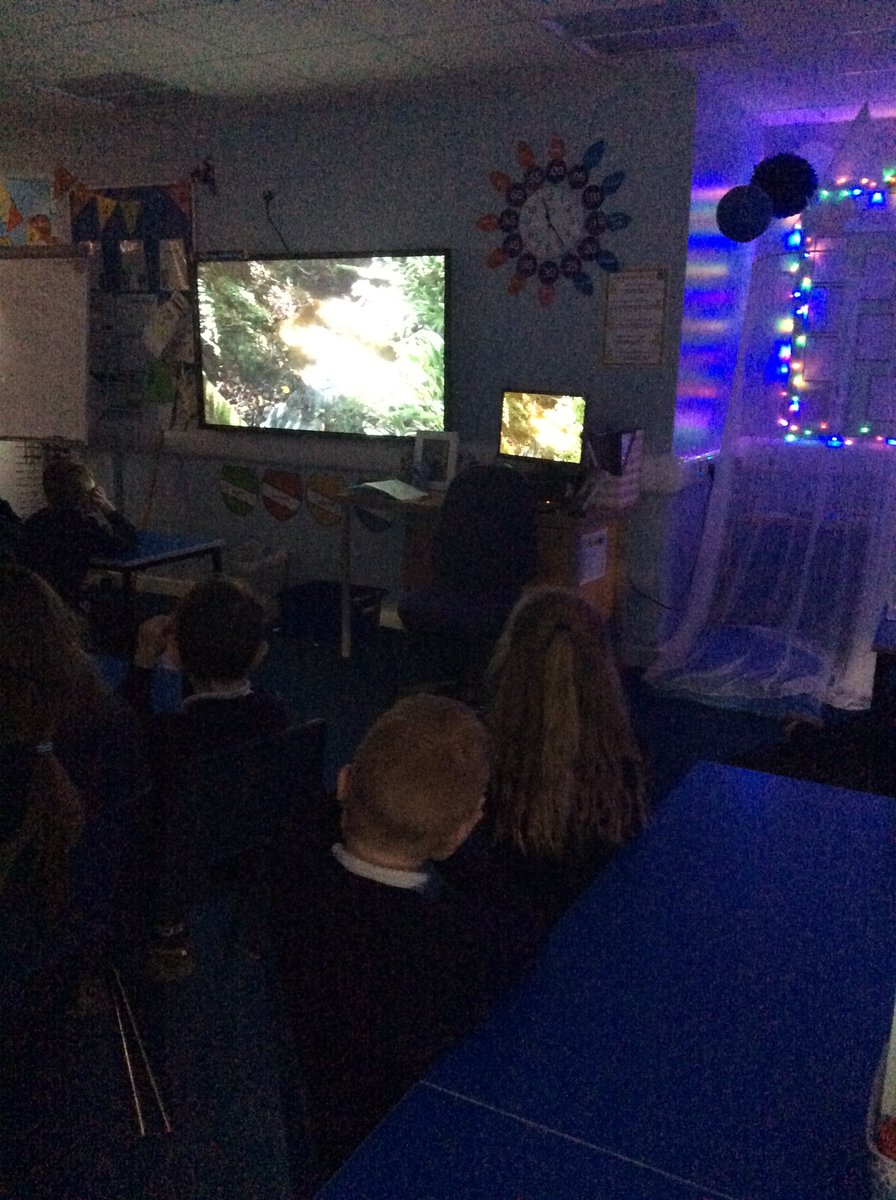 MrsLaverackMPS's tweet image. Today we took a trip to the rainforest. We looked carefully at all the sights and listened really carefully to all the sounds. We then made some word banks to help us with a descriptive short burst piece of writing 🕷🕸🐛🐸🦎🌴☘️🦜#T4W #settingdescription #jungle