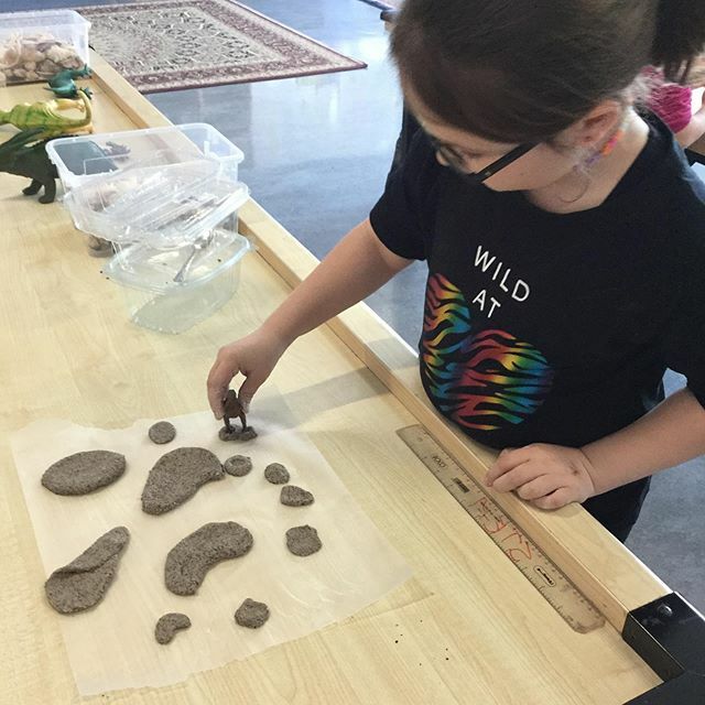 AISRESSTEM's tweet image. Today we made fossils to teach KG1 about how scientists find evidence of dinosaurs! 🦕