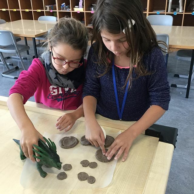 AISRESSTEM's tweet image. Today we made fossils to teach KG1 about how scientists find evidence of dinosaurs! 🦕