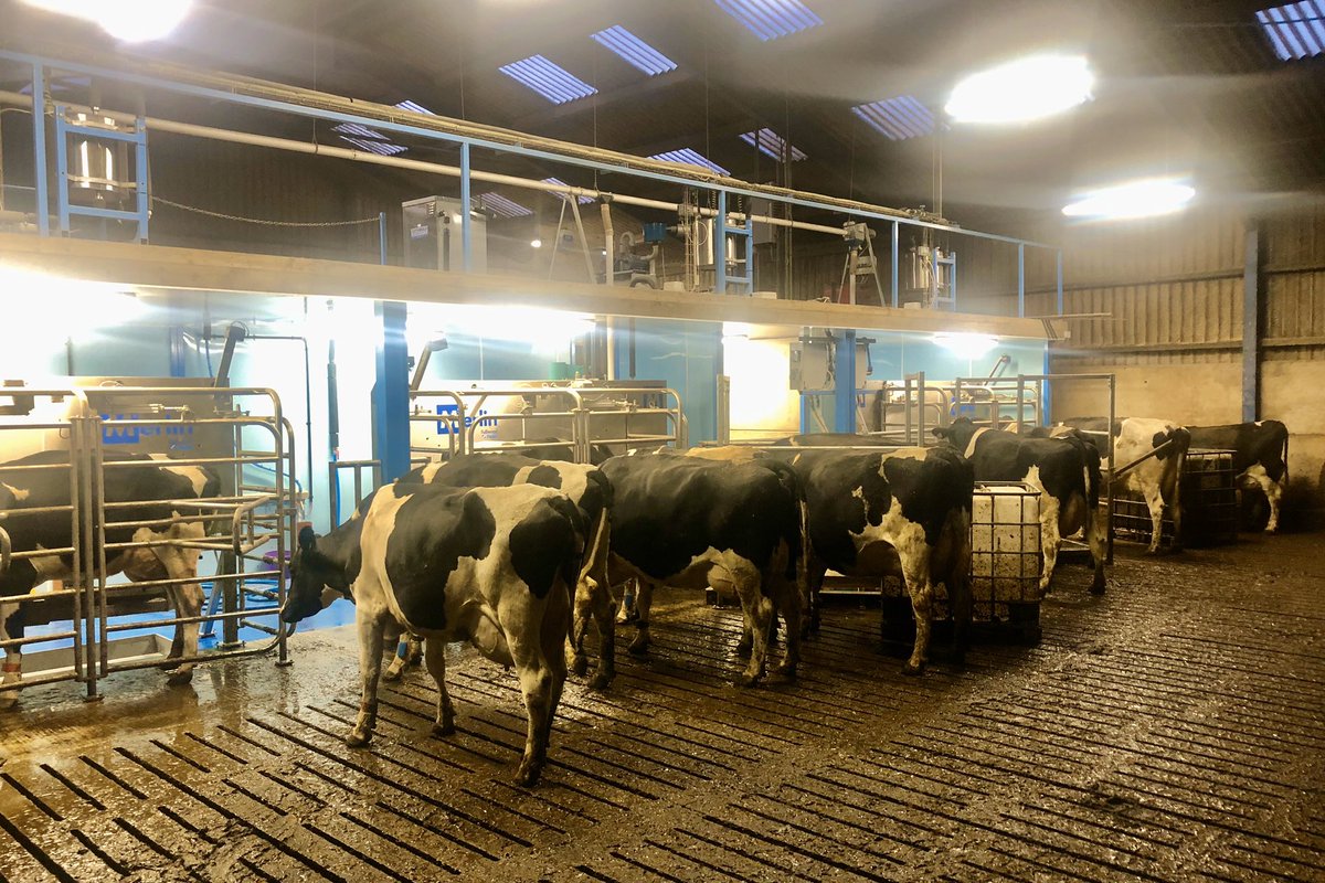 kevinholding1's tweet photo. The girls are Storming on at @wellheadsfarm. #keepuptheGoodworkguys Effective lighting is always a plus #livingtheroboticdream https://t.co/PE9YWLDppg