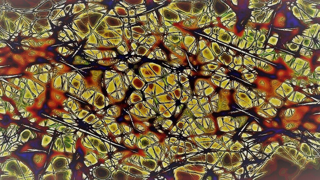 cofuture's tweet image. Scientists Discovered 'Mini-Computers' in Human Neurons—and That's Great News for AI buff.ly/30nMcEr