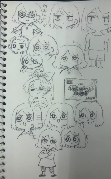 ギョロ目ちゃん 