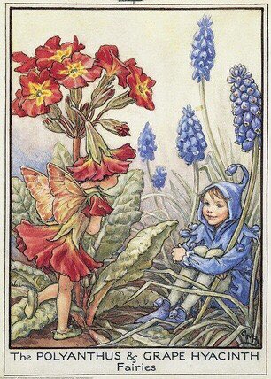 Faewitchling's tweet photo. #faery #fae https://t.co/GcFuWnTvRx