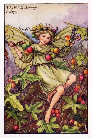 Faewitchling's tweet photo. #faery #fae https://t.co/GcFuWnTvRx