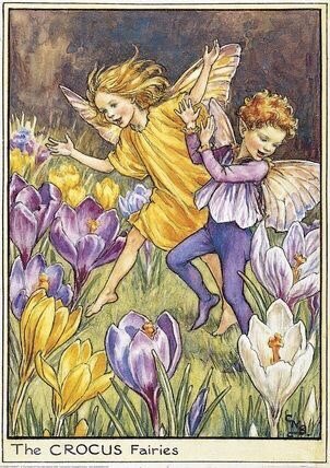 Faewitchling's tweet photo. #faery #fae #flowerfae https://t.co/DiCPbv4nUA