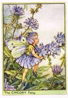 Faewitchling's tweet photo. #faery #fae #flowerfae https://t.co/DiCPbv4nUA