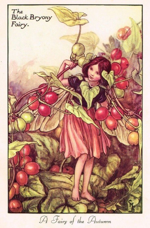 Faewitchling's tweet photo. #faery #fae #flowerfae https://t.co/DiCPbv4nUA